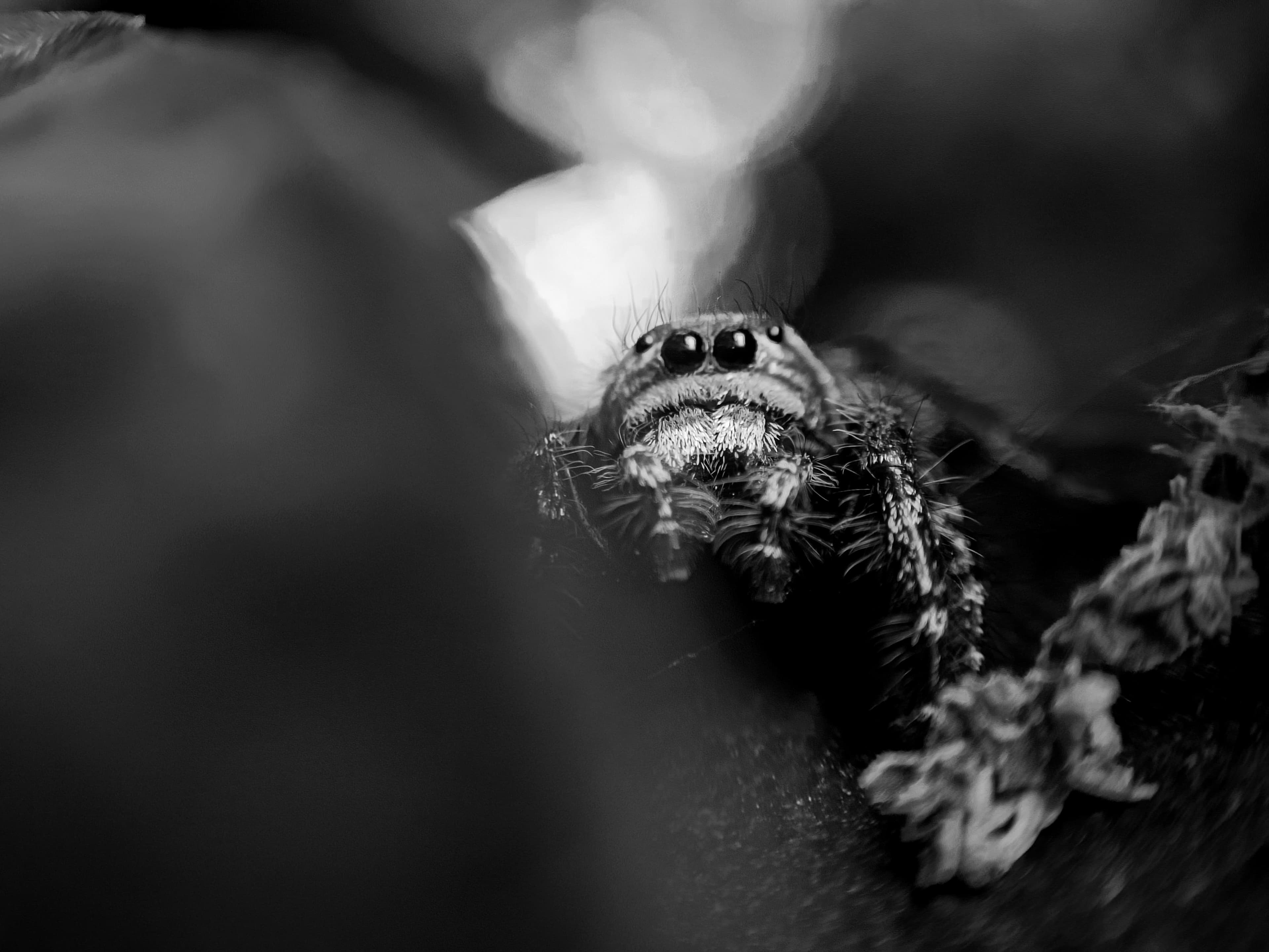 Photography 2