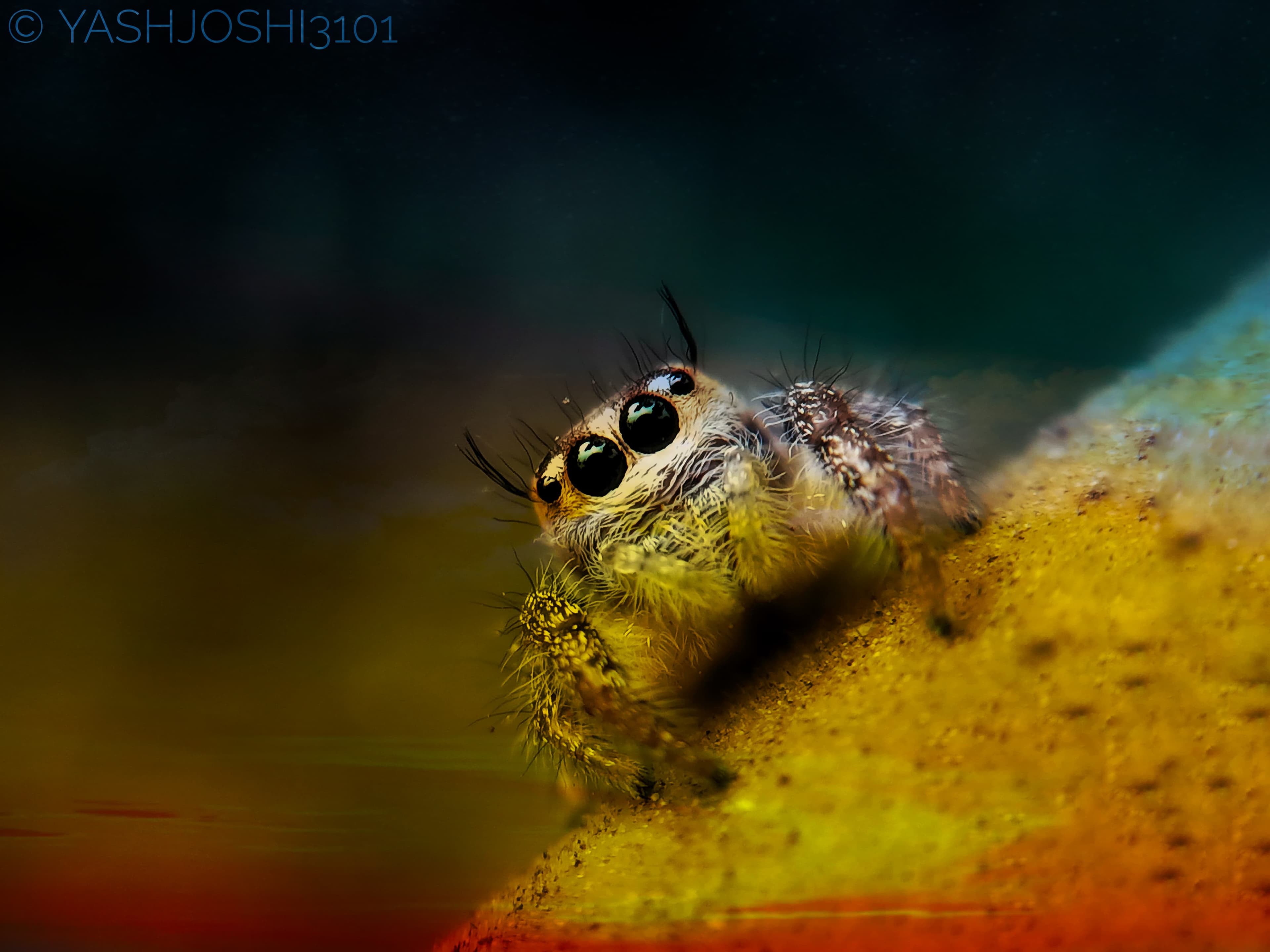 Photography 8