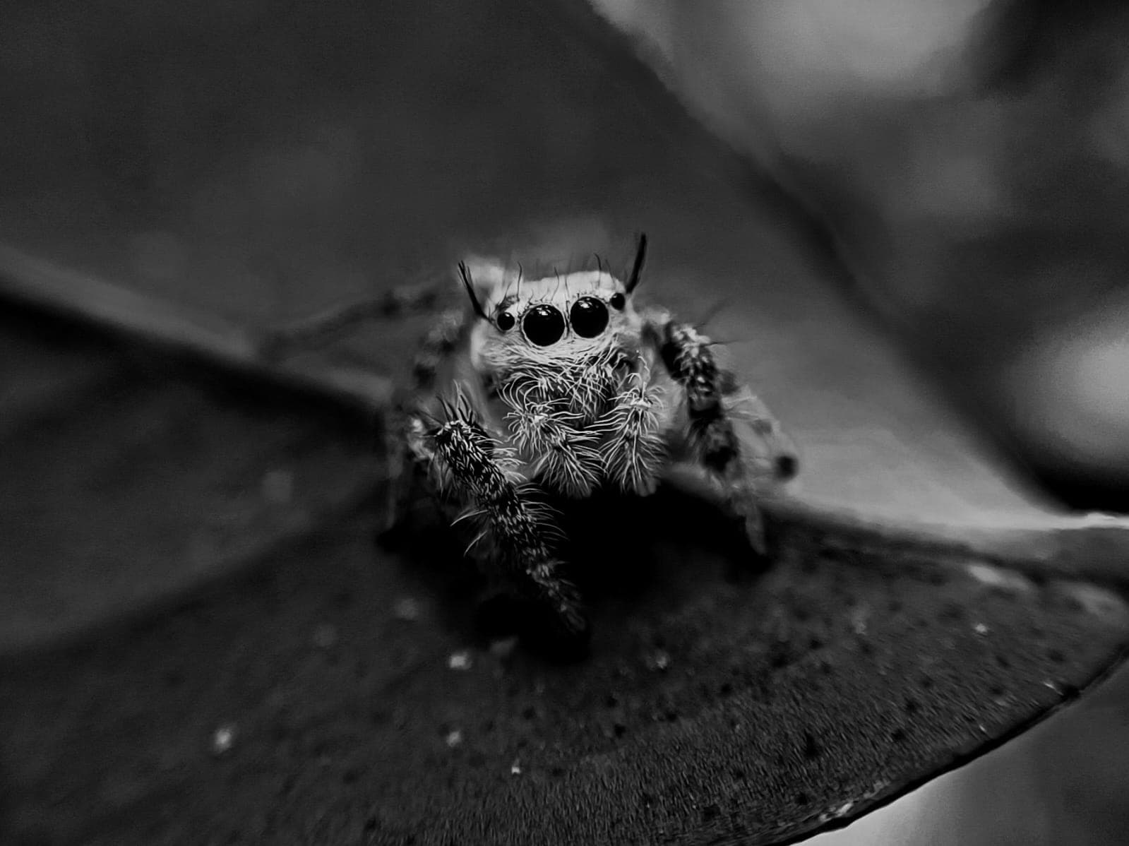 Photography 9